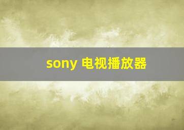 sony 电视播放器